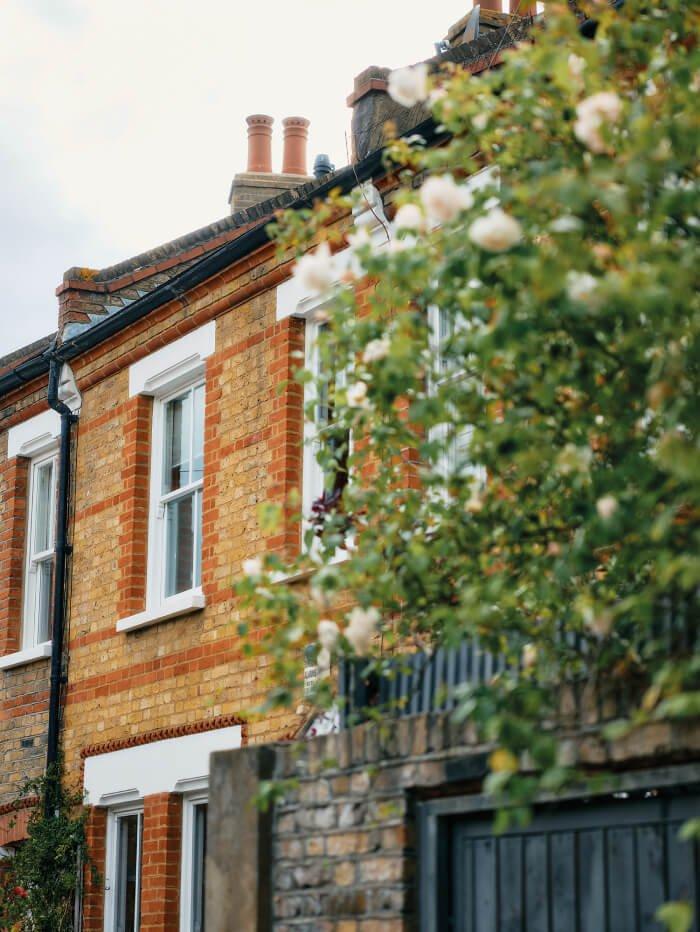 houses behind flowering tree